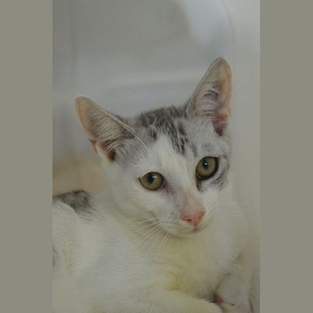 Photo of Merry 