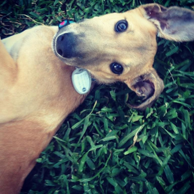Photo of Wesley
