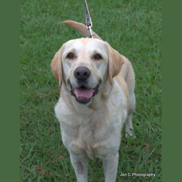 Photo of Bella