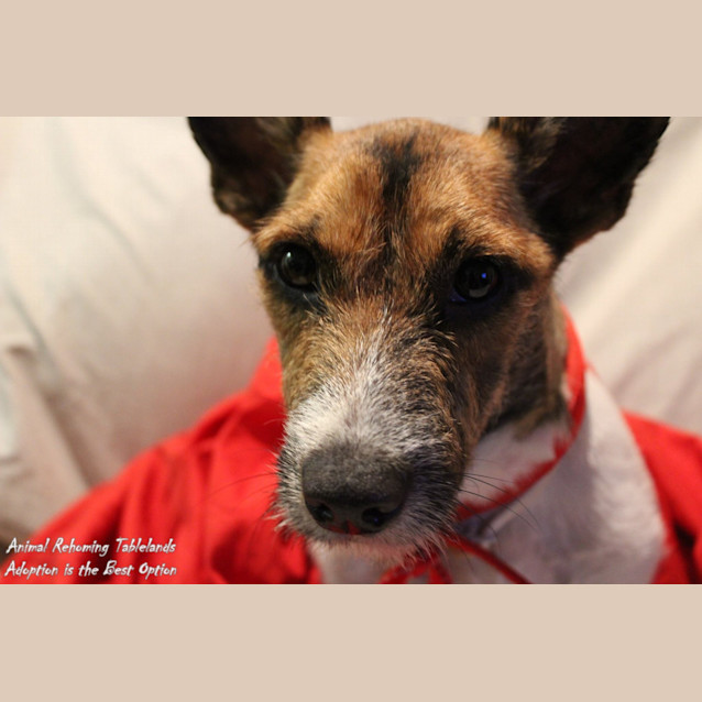 Photo of Sashie