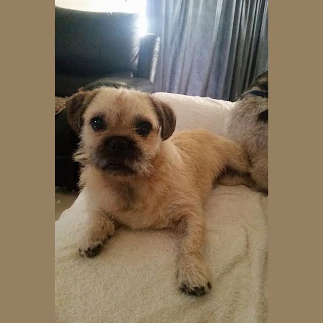 Photo of Binkie Dl823