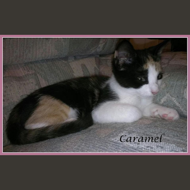 Photo of Caramel