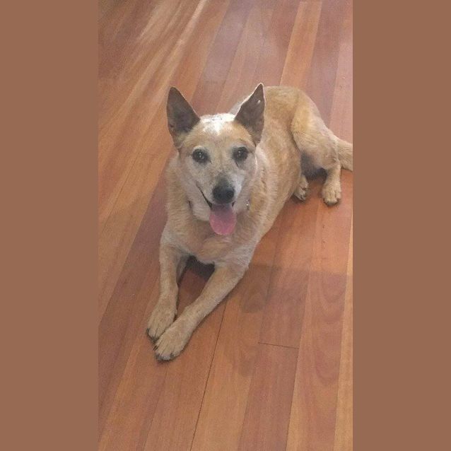 Photo of Holly Dl828