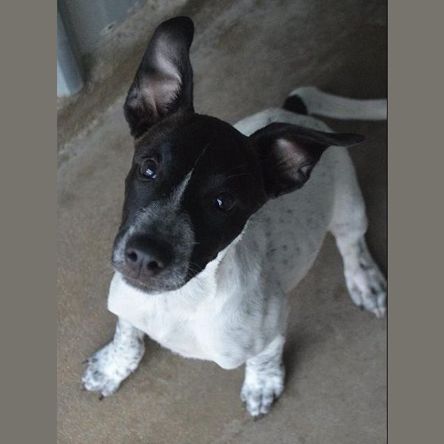 Photo of Cesar