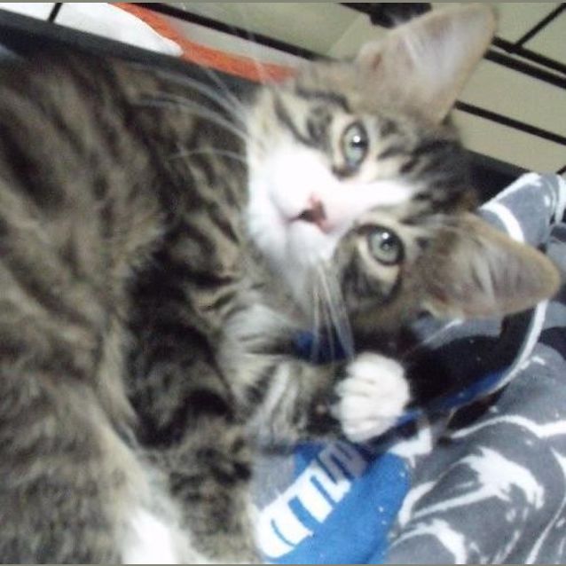 Photo of Lilo