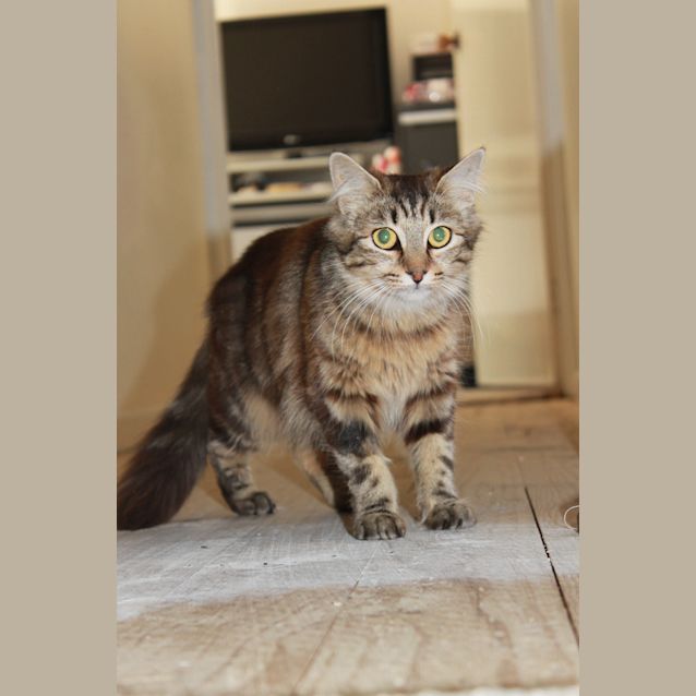 Photo of Ally