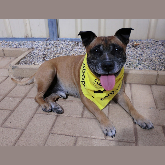 Photo of Jack *On Trial In His New Home*