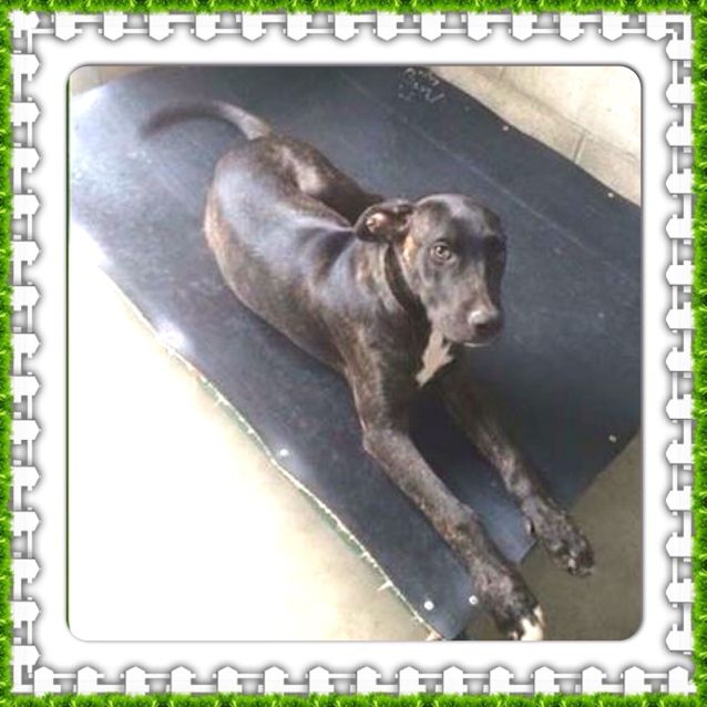 Photo of Oliver ** A Divine Young Boy **