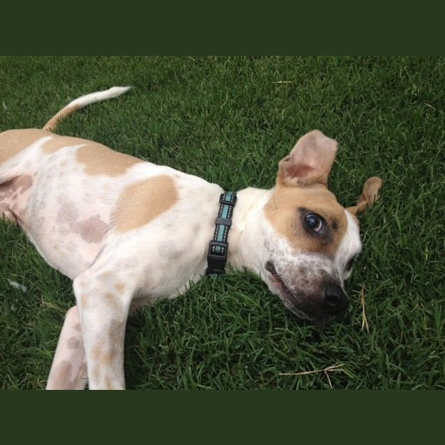 Photo of Mr. Magoo