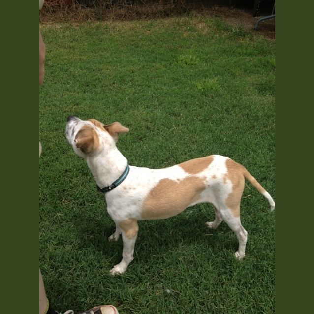 Photo of Mr. Magoo