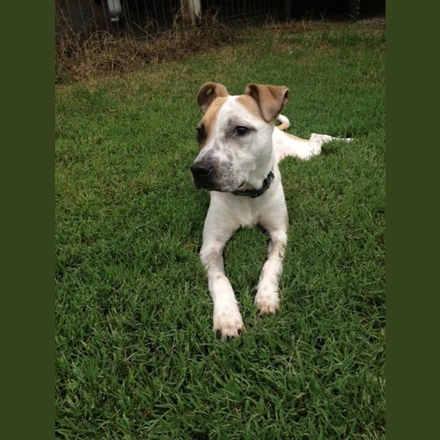 Photo of Mr. Magoo