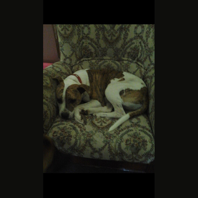 Photo of Gentle Zeida