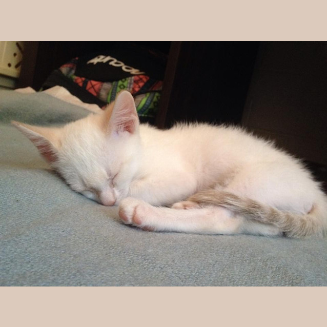 Photo of Olly   Cream Point