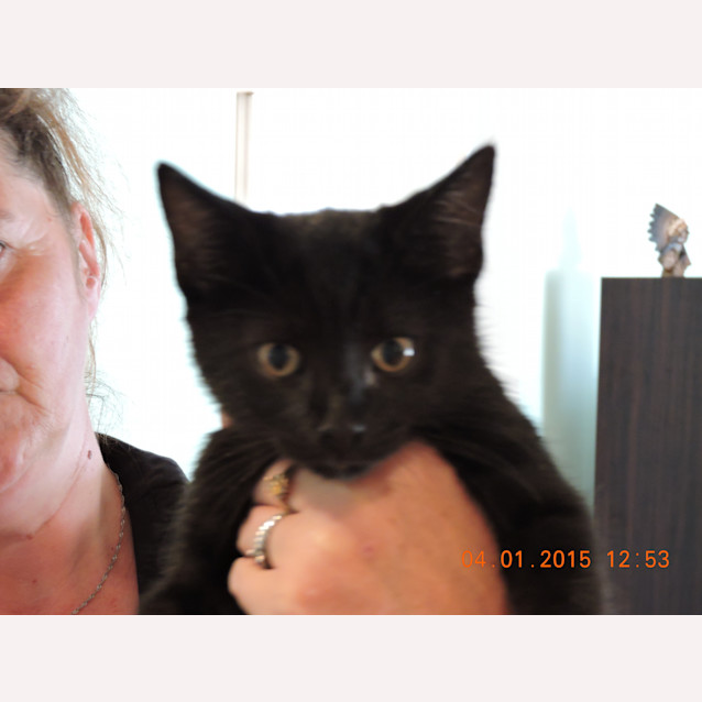 Photo of Onyx
