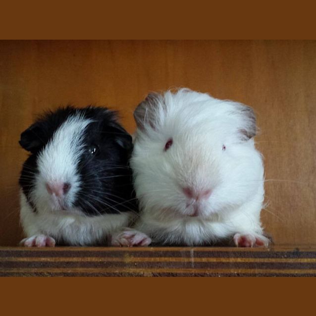 Photo of Alec And Grady