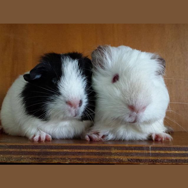 Photo of Alec And Grady