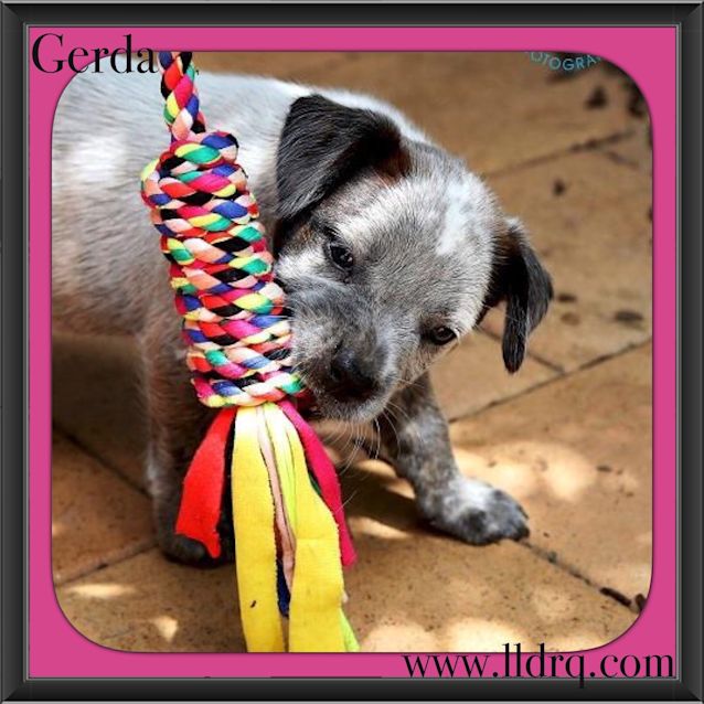 Photo of Gerda