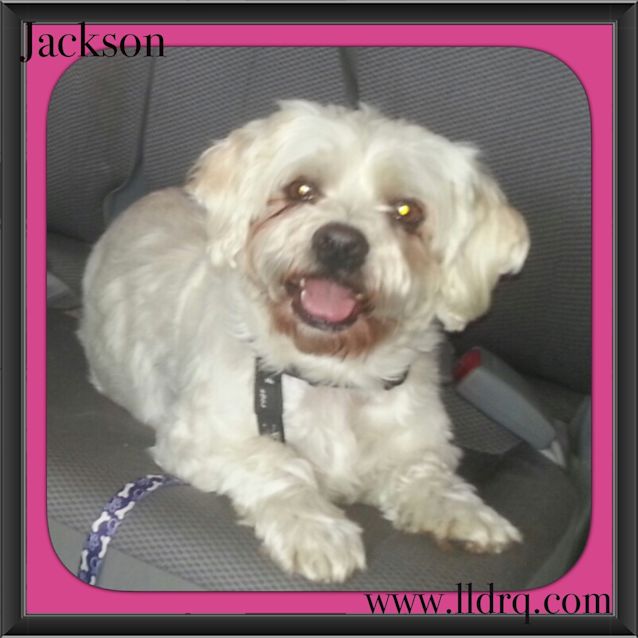 Photo of Jackson