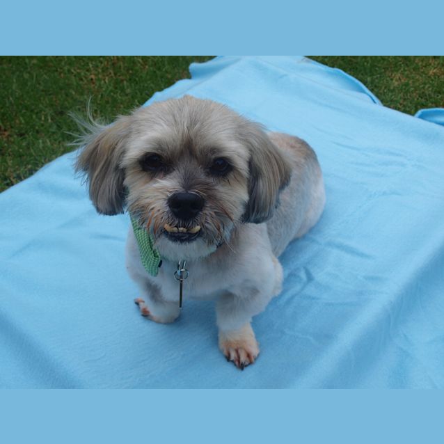 Photo of ***Henry****