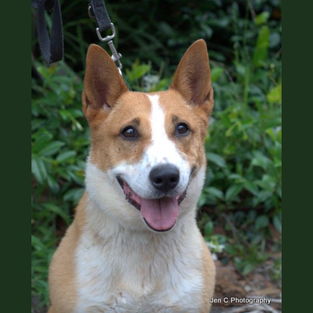 Photo of Sandy