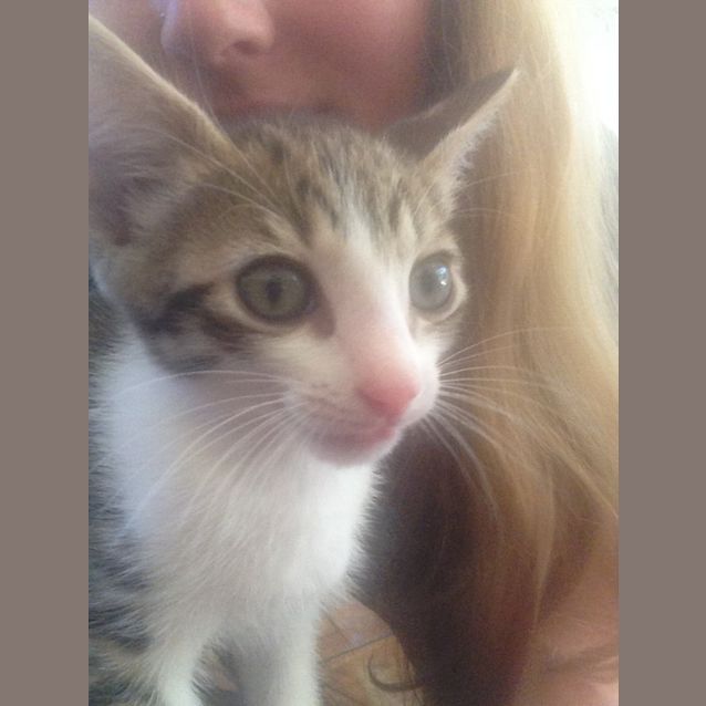 Photo of Patch