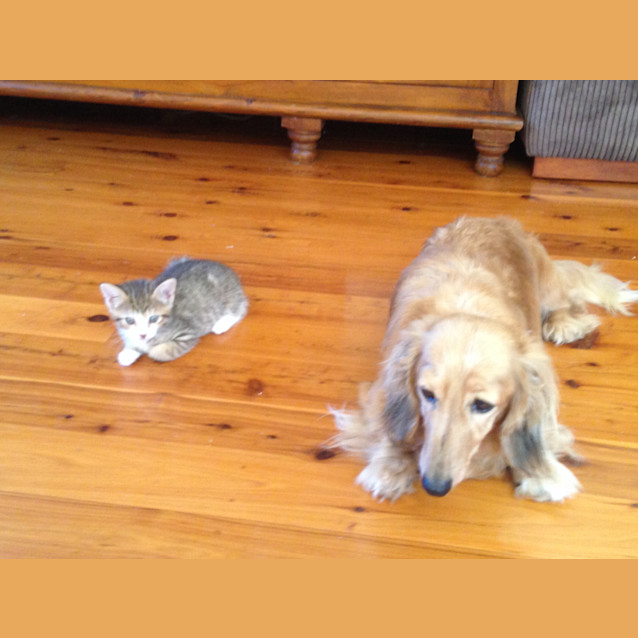 Photo of Penny