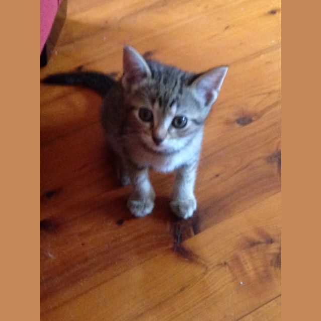 Photo of Chloe