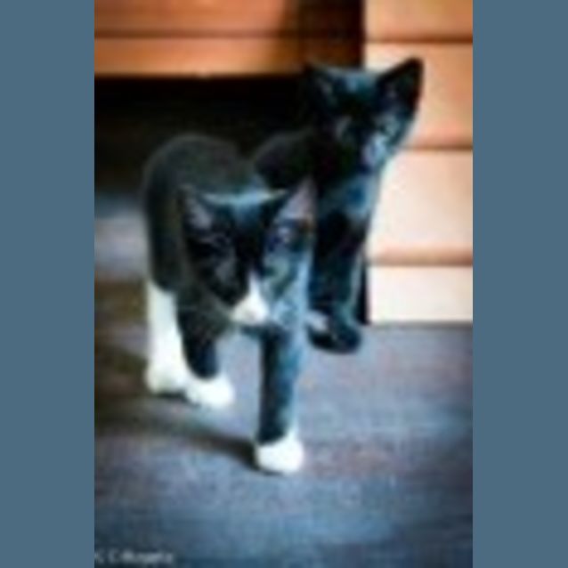 Photo of Scarlet Ec0087