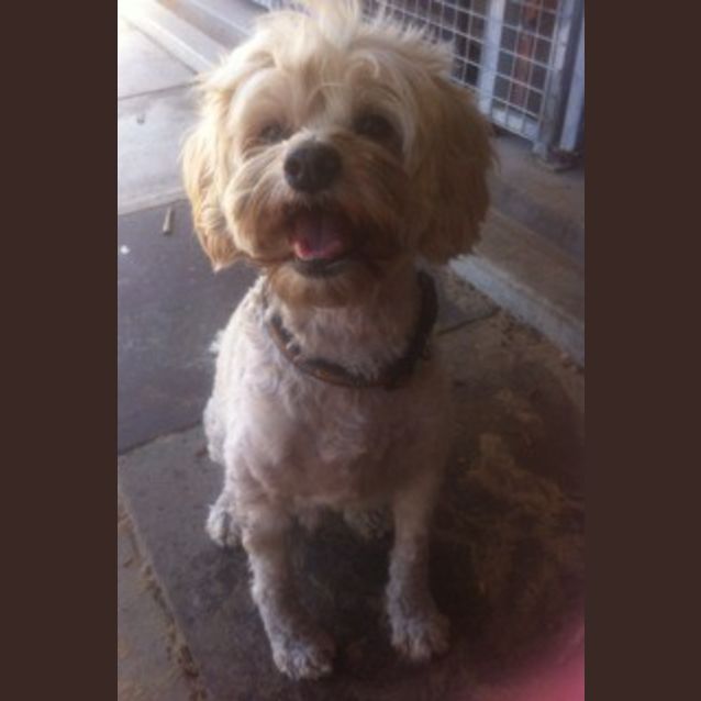 Photo of Pierre And George