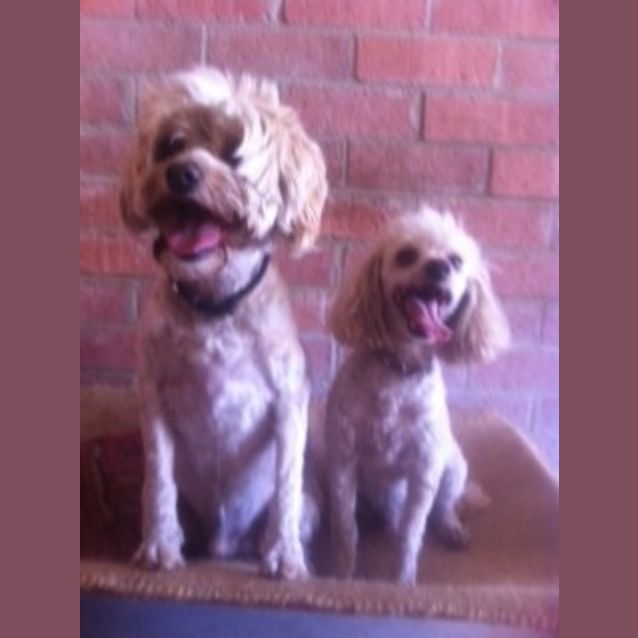 Photo of Pierre And George