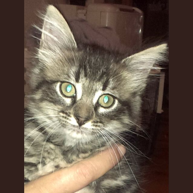 Photo of Jackie