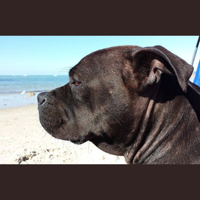 Photo of Maggie