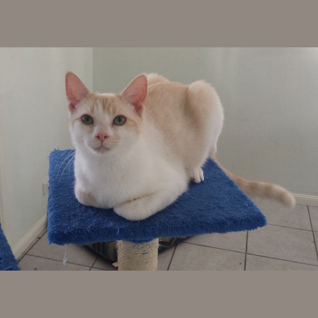 Photo of Lola