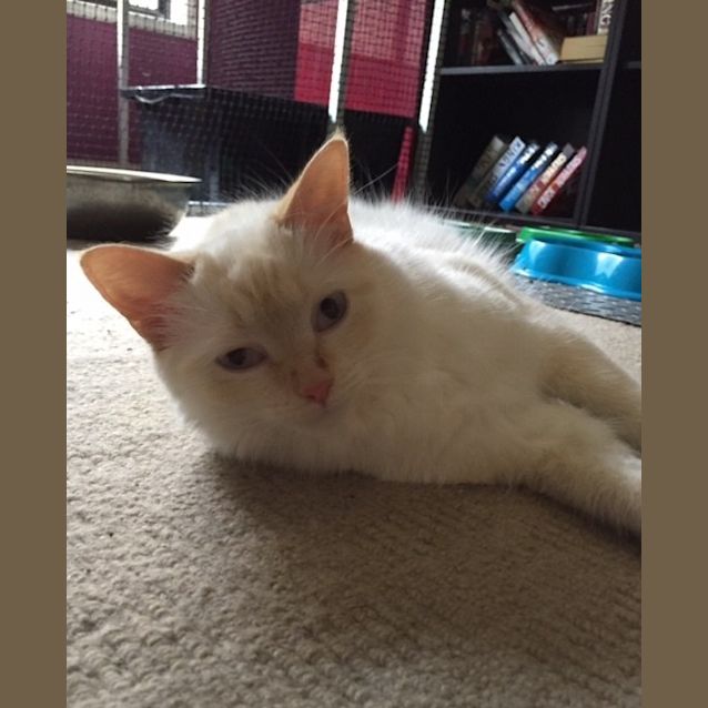 Photo of Nikita