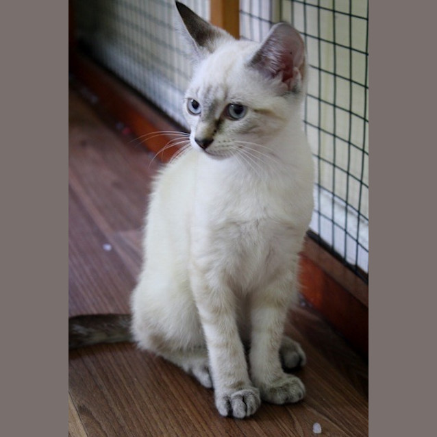 Photo of Jasmine
