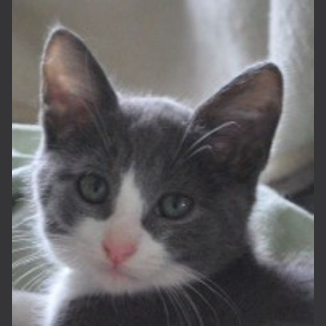 Photo of Rupert