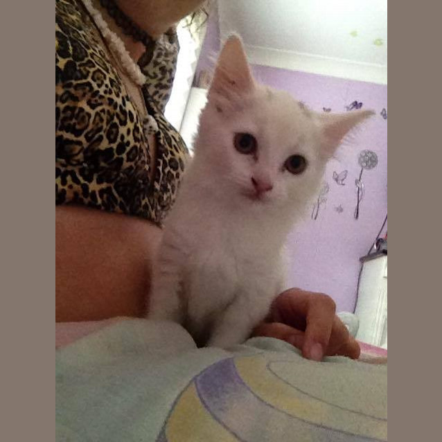 Photo of Snowy