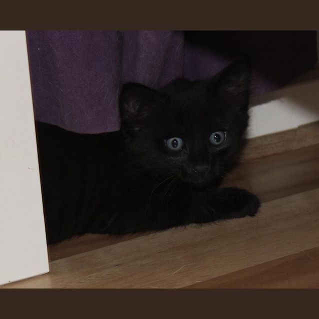 Photo of Storm