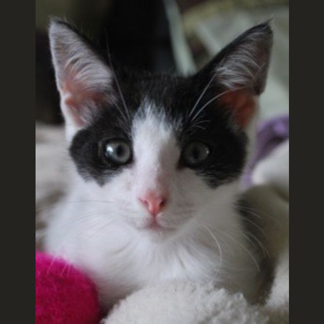 Photo of Sammy