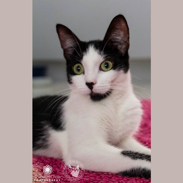 Photo of Zena