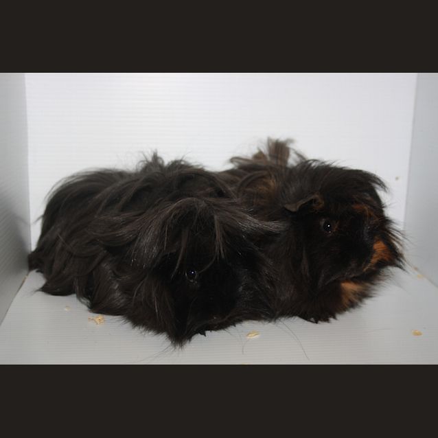 Photo of  Benson & Hedges 