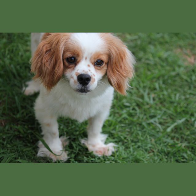 Photo of Isabella 