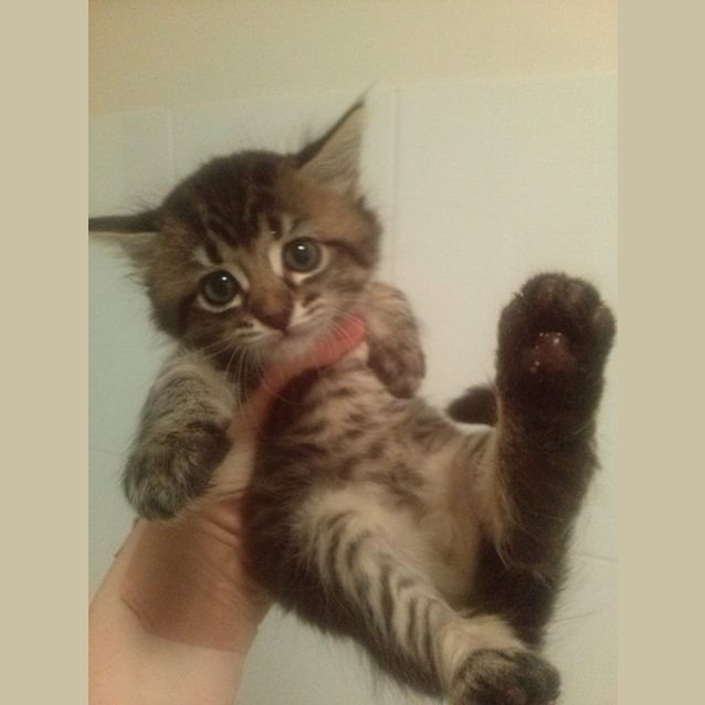 Photo of Penelope