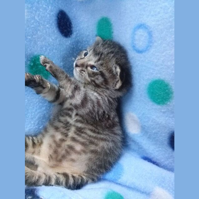 Photo of Gus