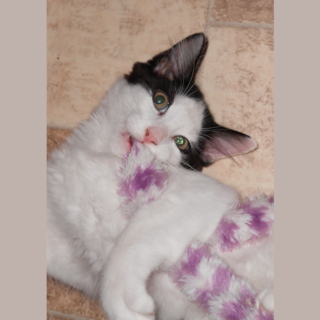 Photo of Nakita