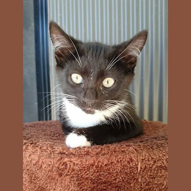 Photo of Ziggy