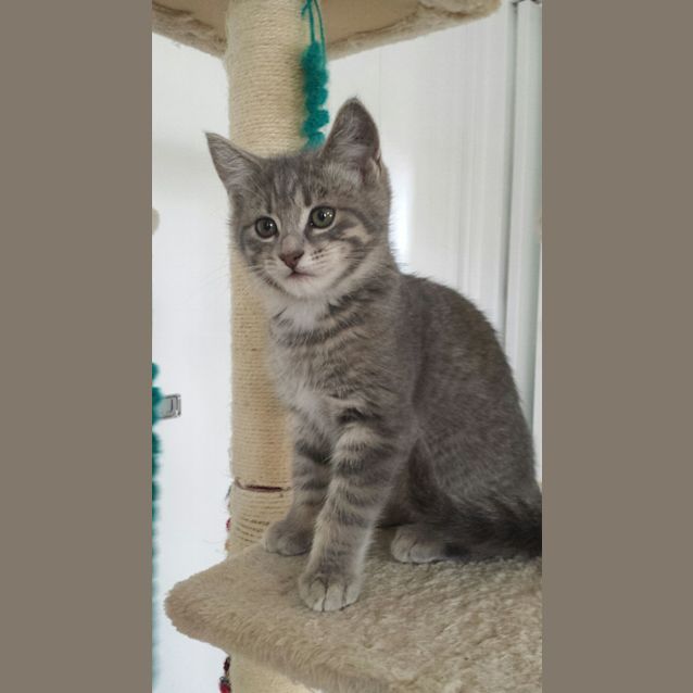 Photo of Tristan