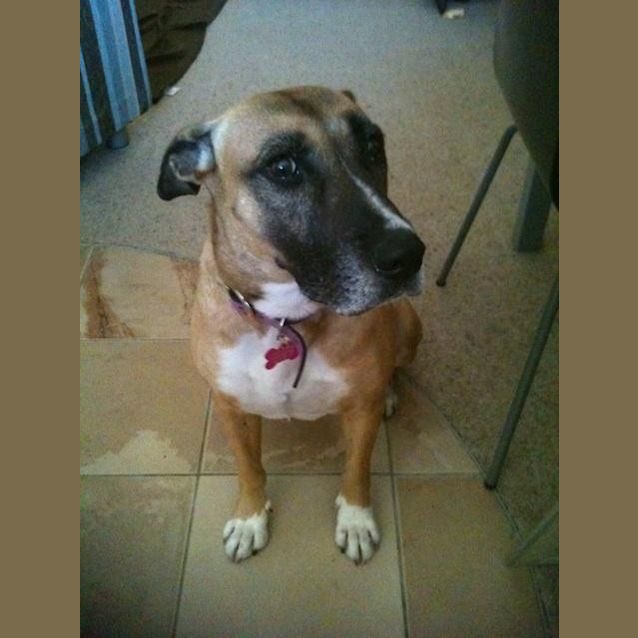 Photo of Squirt   The Perfect Girl