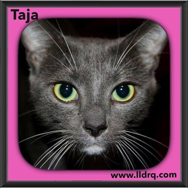 Photo of Taja
