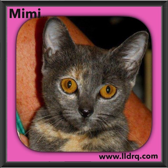 Photo of Mimi 
